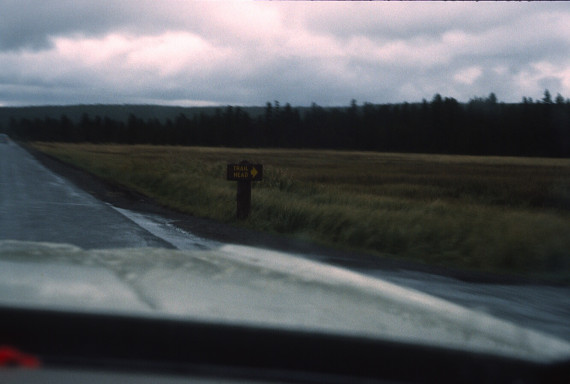 Travel